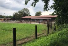 Oasi LIPU Cesano Maderno景点图片