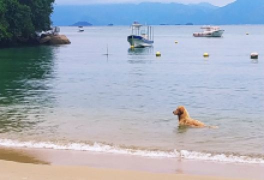 Fazenda Beach景点图片