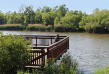 Port of Conneaut Bird Observation Platform Area景点图片