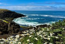 Rocky Creek State Scenic Viewpoint景点图片