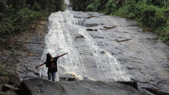 Rooster Cascade