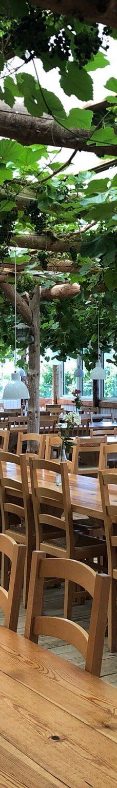 Vingaarden, Lille Gadegaard ( Vineyard )-阿克尔科拜