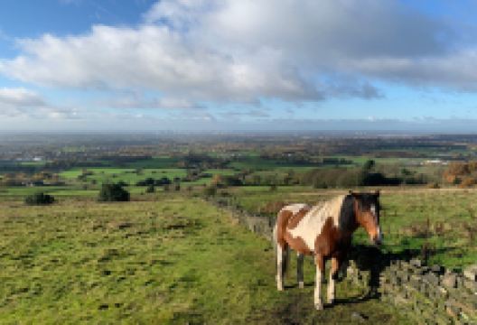Hartshead Pike景点图片