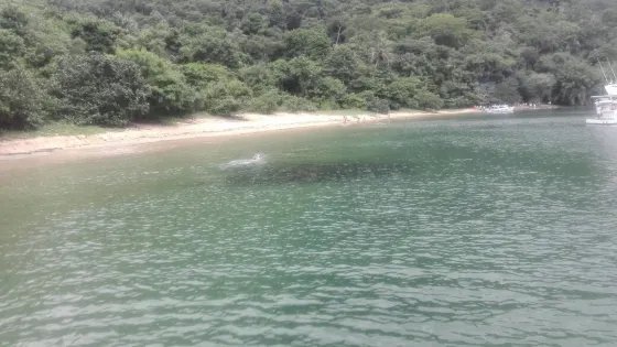 Baixo Beach