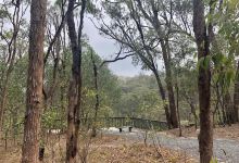 Springwood Conservation Park景点图片