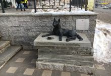 Monument-Moneybox to the Homeless Dog景点图片