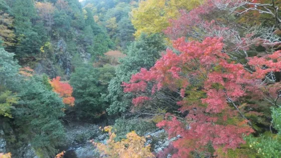 Mt. Nihon Koba