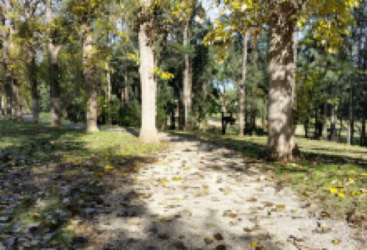 Picton Botanical Gardens景点图片