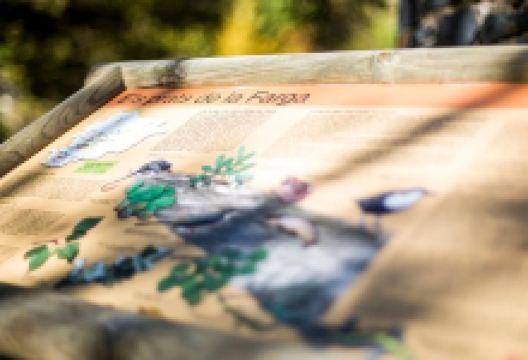 Mirador Prats de la Farga景点图片