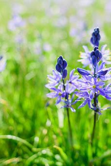 Catherine Creek Day Use Area/Trailhead-克利基塔特县