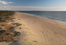 Singleton Beach景点图片