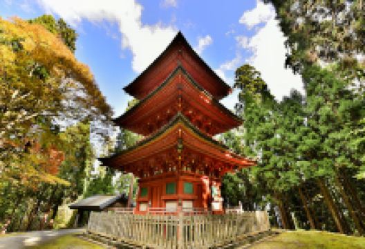 名草神社景点图片