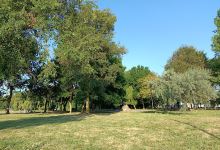 Lacul Neptun II景点图片