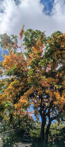 Kapalua Coastal Trail-卡帕拉奥阿