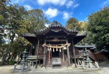 Mishima Shrine景点图片