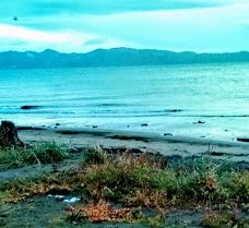 Chinook County Park-太平洋城县