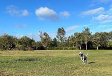 Saltwater Fenced Dog Park景点图片