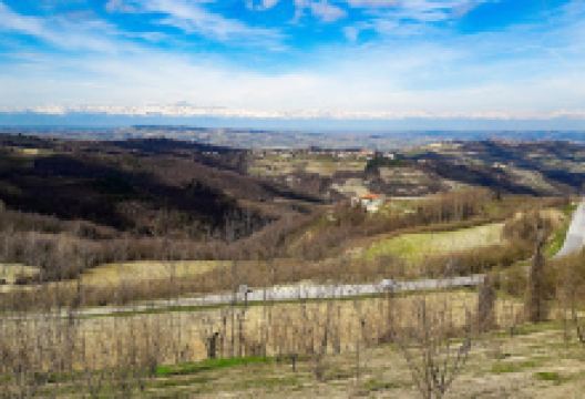 Punto Panoramico di Benevello景点图片