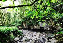 Bishopston Valley景点图片