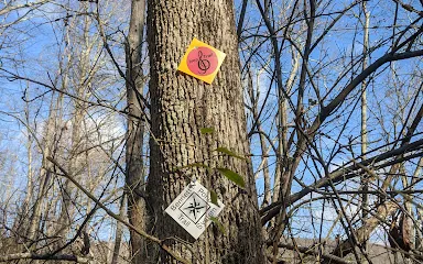 Bennett's Pond State Park