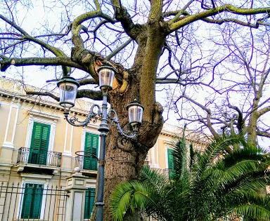 Municipal park - Botanical garden "Umberto I"