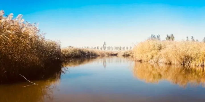 盤錦市遼河濕地公園