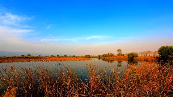 黃水河濕地文化園