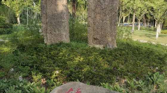 泰興公園-情侶石