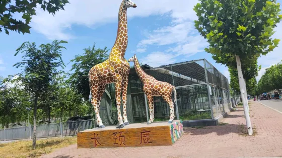 諸城市動物園-長頸鹿