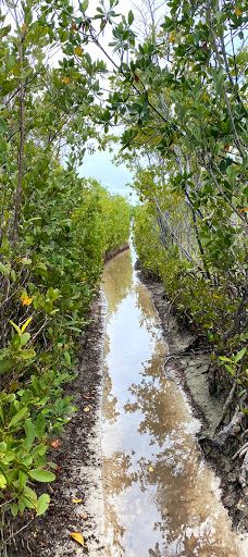 Tigertail Beach-马可岛