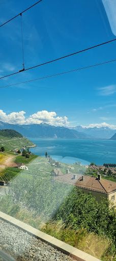 Terrasses viticoles de Lavaux-Lavaux-Oron District
