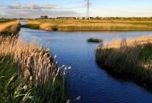 Hennipgaarde natuurspeeltuin景点图片