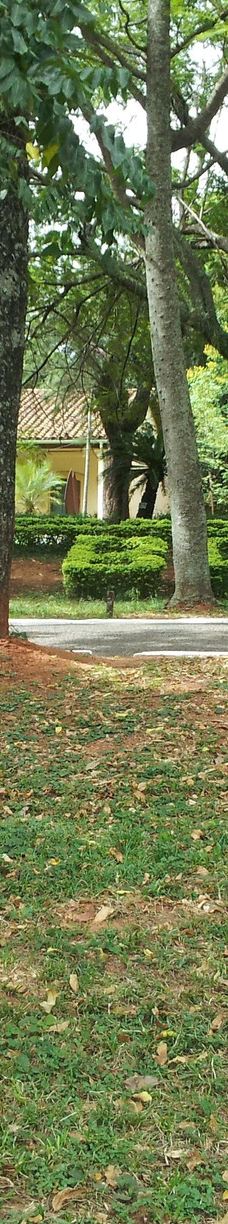 Botanical Garden of Asunción-亚松森