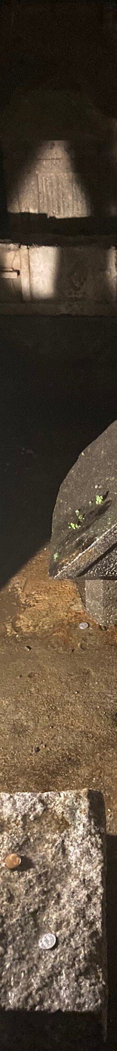 江之岛岩屋-藤泽市