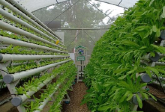 Sukorambi Botanical Garden景点图片