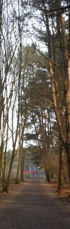 Parc des Gayeulles-雷恩