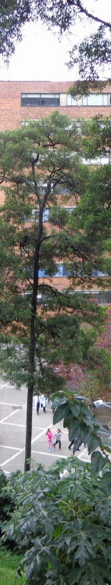 波哥大第七大道-波哥大