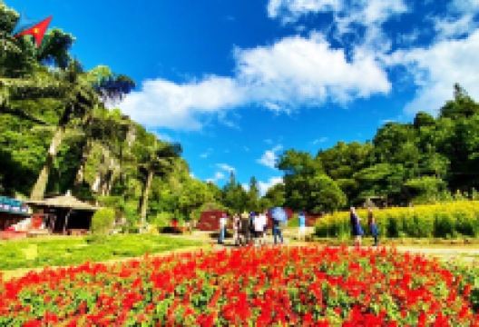 Ham Rong Sa Pa Eco-Tourism Area景点图片