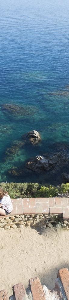 Jardin Botanico Marimurtra-布拉内斯