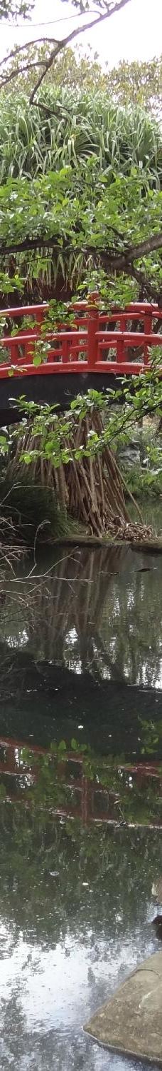 卧龙岗植物园-Keiraville