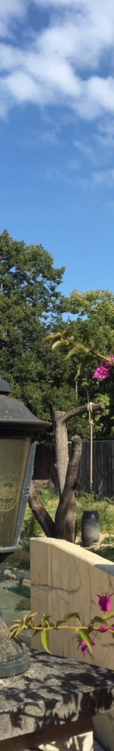 海德堡动物园-海德堡