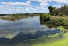 Shiawassee National Wildlife Refuge景点图片