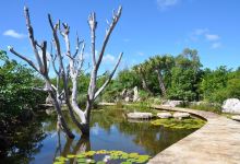 Leon Levy Native Plant Preserve景点图片