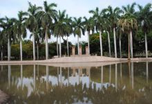 Jardín Botánico Benjamin Francis Johnston景点图片