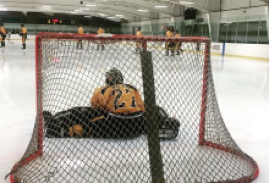 Fraser Hockey Land景点图片