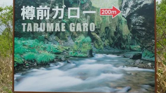 Tarumae Garo
