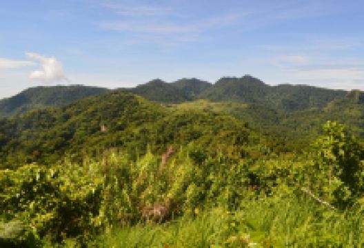 Mt. Manabu景点图片