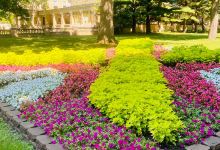 Quilt Garden景点图片