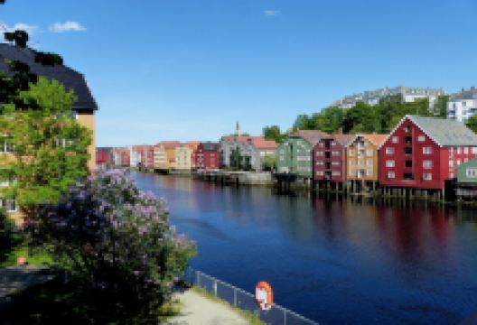 巴克兰德大街景点图片