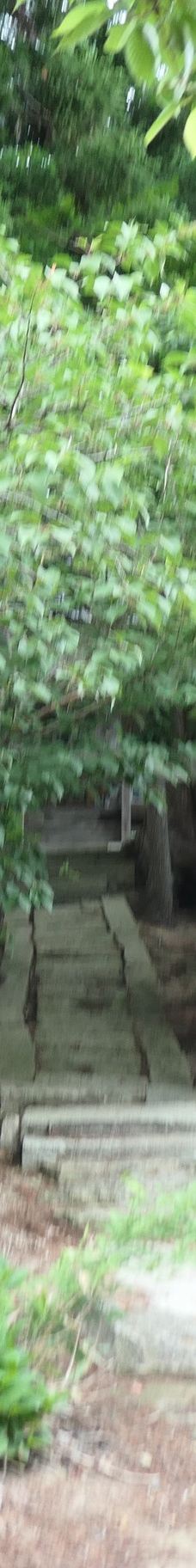 Cat's Shrine-高畠町